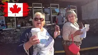 Поехали с нами покупать мороженое!
