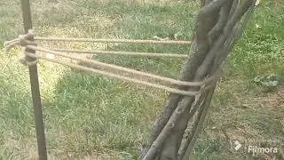 Как выровнять куст