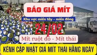 Giá mít hôm nay - giá mít thái giá mít ruột đỏ siêu sớm hôm nay ngày 24/2/2023