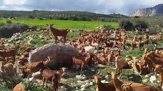 سبحان الله من بعد اسبوعين من الأمطار انفجرت العيون بالماء وفاضت الآبار  والفلاحين فرحون