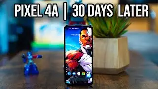 Pixel 4a 30 Days Later | The Everyday Device!