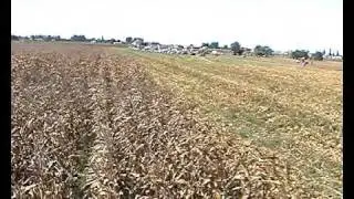 II Tractorum in campo - SDF - Mietitrebbia Deutz Fahr 6060 HTS