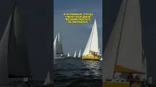+7 917 295-63-60
