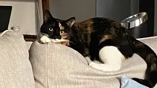 Один скучный день из жизни 😂9 августа