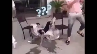 😀👍👍👍