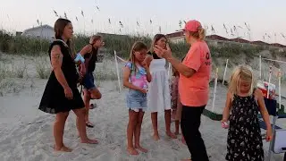 What's Happening to the Sea Turtles Tonight?!
