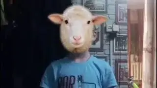 Баран танцует !!!