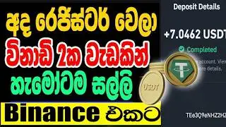 Earn money online sinhala | mew usdt earning platfrom 2024 | earn usdt online | sl pancha 💰 #usdt