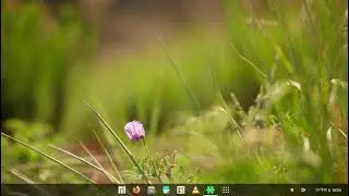 Windows 11 Like layout in Manjaro Pahvo 21.1.1