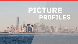 Favorite Canon DSLR Picture Profile and Cinematic LUT