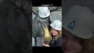 #мгсу
