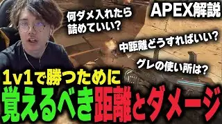 【解説】上手い人は感覚でわかってる距離とダメージの関係を言語化してみた【DTN/MukawakiN】