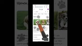 ПРИКОЛЬНАЯ ФИШКА В GOOGLE CHROME 