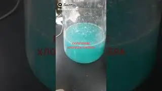1 октября 2023 г.