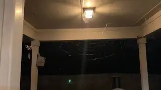 Yellow Scorpion vs Golden Orb Weaver, part 2