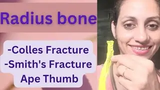 RADIUS BONE ANATOMY