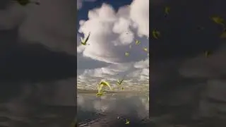 Birds Flock | Unreal Engine Niagara Tutorials | UE4 Niagara Bird Flock