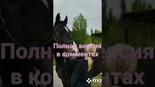 Конный спорт гимн конному спорту конкур лошади