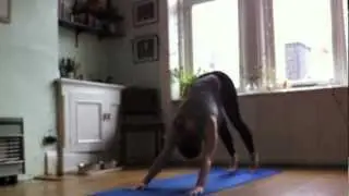 mind mapping yoga   (like/share to vote)