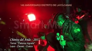 CHINITO DEL ANDE EN LAYO | PALOMA INGRATA