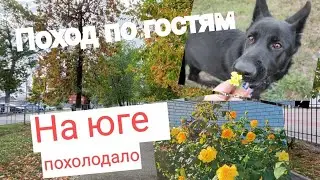 Влог# 552 На ЮГЕ резко похолодало 🥶 Поход по ГОСТЯМ 😌