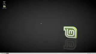 Fix Steam not running on Ubuntu based Distros (X error) · Ubuntu flavors, Linux Mint, etc..