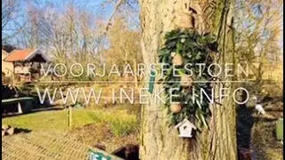Voorjaarsfestoen
