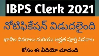 IBPS 5830 CLERK VACANCIES QUALIFICATION ANY DEGREE