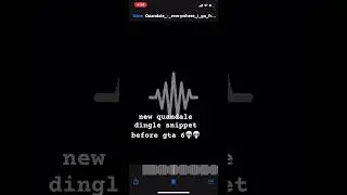 Quandale Dingle snippet before gta 6💀💀