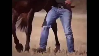 Мужик с лошадью танцует
