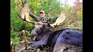🫎 Maine Moose Hunting Trailer 🫎 ( Extended Version ) #moose #moosehunting #hunting #moosehunt #maine