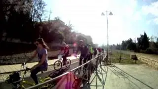 Harli Final