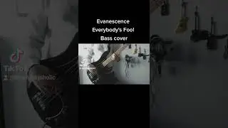 Everybody's Fool