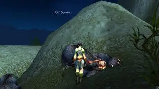 Viryn's Revenge Solo Sod Classic