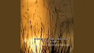 Echoes of Our Timeless Love Story