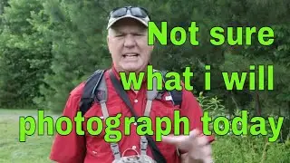Unleash Your Wild Side: An Exciting Snapshot Safari!
