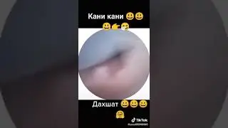 кани кани#рекомендации