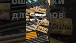 Ошейники для коров. 