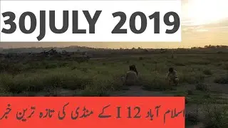 Bakra Mandi Islamabad I12 Latest Update 2019.