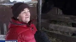 ЛПХ Идрисовы, Нижнехозятово