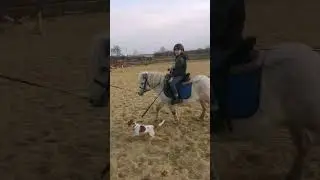 кавалерист