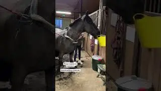 Когда уже не знаешь, чем себя развлечь, а она все стрижет))