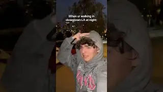 Chased in downtown LA:
