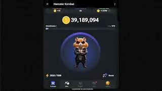 ✅ 4.06.2024 Daily Combo | Hamster Kombat