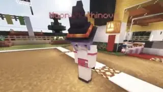 “what the npc doin?”