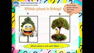 AY2021  T1 W2  PERIOD2  SCIENCE -Compare the Babies