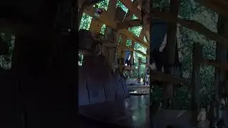 Усадьба Лебедь Турочак Республика Алтай Часть 344 #Shorts