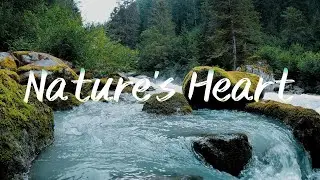Peaceful Music Of Nature's Heart | Deep Relaxation
