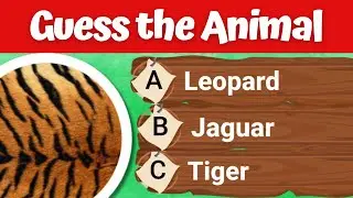 Guess the animal by skin