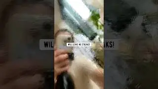 Amazing DIY Cleaning Sprays | creative explained